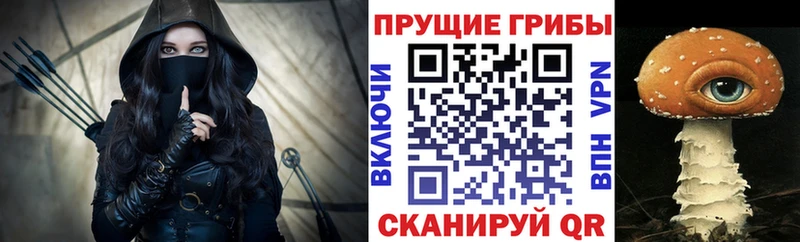 Галлюциногенные грибы Psilocybe  купить   Ялуторовск 