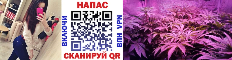 Шишки марихуана Bruce Banner Ялуторовск