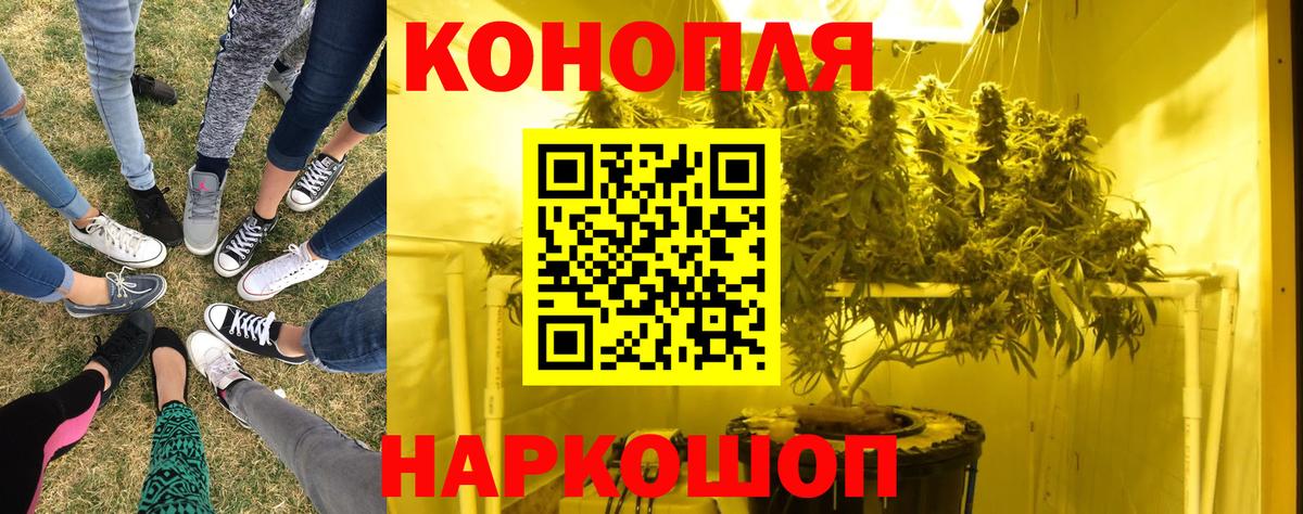 Бошки Шишки тримм Ялуторовск
